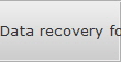 Data recovery for Paradise data